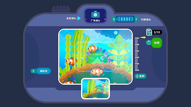 Snapurr: Underwater Cat Photographers