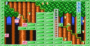 The Year of the Carrot