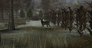 Whitetail Challenge