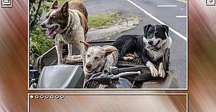 Super Jigsaw Puzzle: Generations - Dogs Puzzles