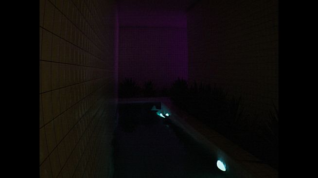 Explore The Backrooms