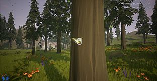 The Place I Called Home