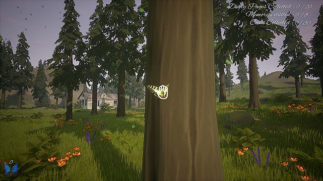 The Place I Called Home