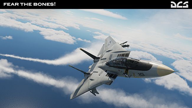 DCS: F-14A Fear the Bones Campaign