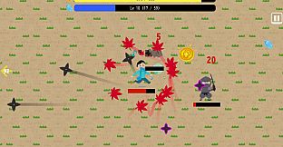 Custom Image Survivors