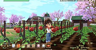 Story of Seasons : A Wonderful life