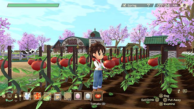 Story of Seasons : A Wonderful life