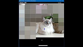 Brick Breaker: Eliminate Mosaic and Reveal Beauty 打砖块: 消除马赛克 揭开真面目