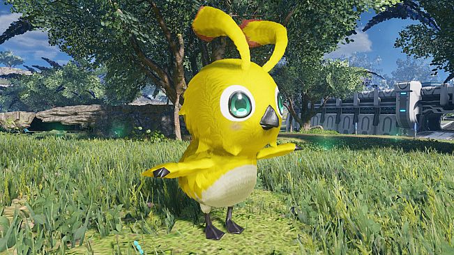 PSO2:NGS - Beginners! Rappy Pack