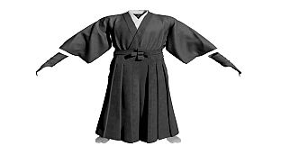The Ronin: Samurai Gunslinger