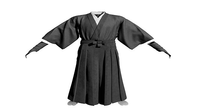 The Ronin: Samurai Gunslinger