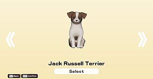 DORONKO WANKO - Jack Russell Terrier