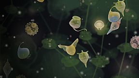 Jellies of the Deep