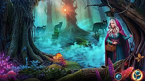 Enchanted Stories: Mystic Woods Collector's Edition