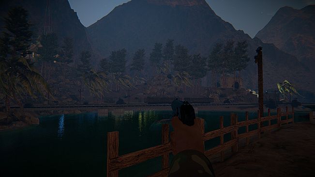 Desert Strait: Operation Online