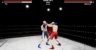 Boxing Simulator