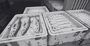 ノースウェステリアの子供