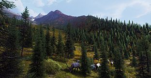 Way of the Hunter - Aurora Shores