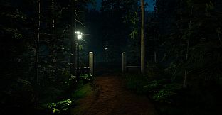 Forest Lookout