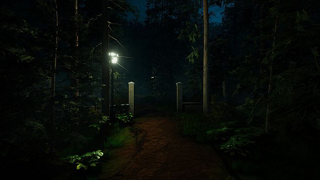 Forest Lookout