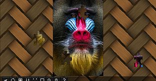 Jigsaw Puzzle World - Primates