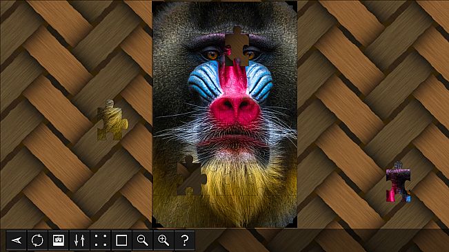Jigsaw Puzzle World - Primates