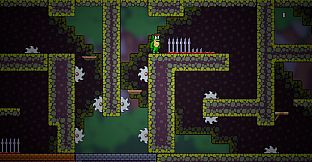 The Alligators Bundle