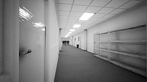 The Suits Have Gone Mad!