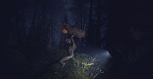 Light, Dark or Hrak?