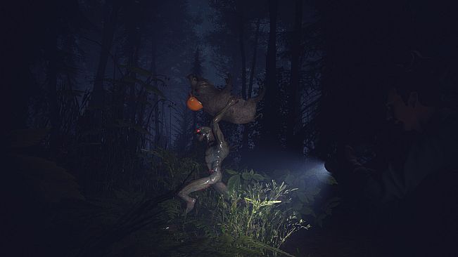 Light, Dark or Hrak?