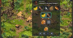 Hero of the Kingdom IV