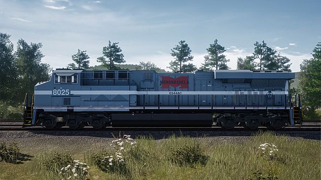 Train Sim World 5: Norfolk Southern Heritage Livery Collection Add-On