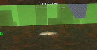 SALMON
