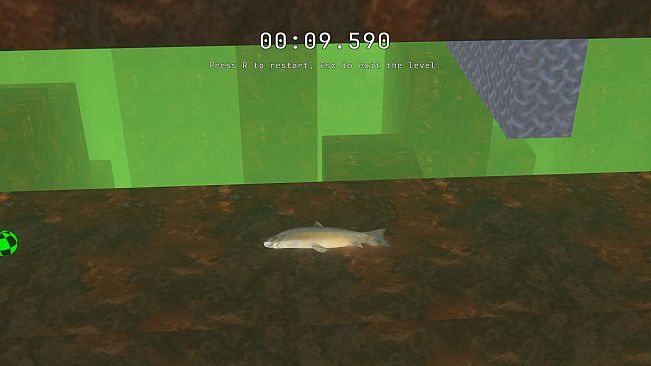 SALMON