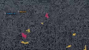 Click on red pandas together