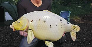 Euro Fishing: Lilies