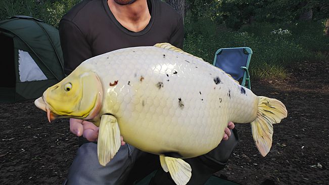 Euro Fishing: Lilies