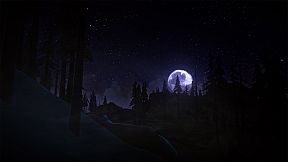 The Long Dark