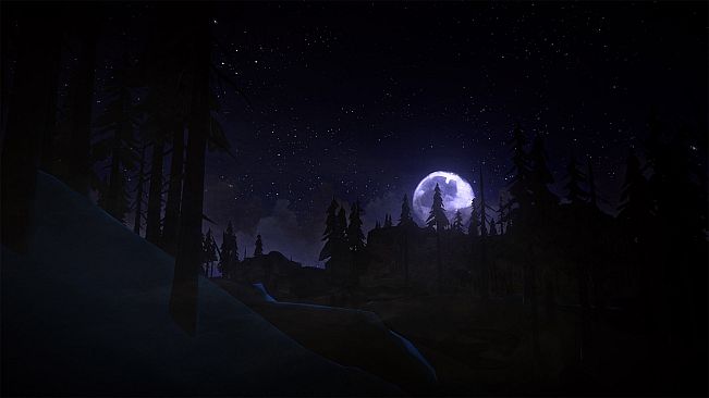 The Long Dark