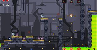 Super Crazy Chickens