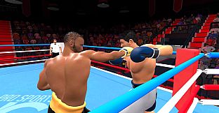 Pro Sports Boxing