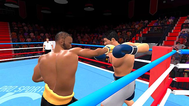 Pro Sports Boxing