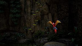 Pirates VR: Jolly Roger