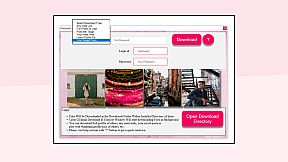 Charisma X: Bulk Instagram Media Downloader