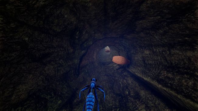 Nature And Life - Drunk On Nectar