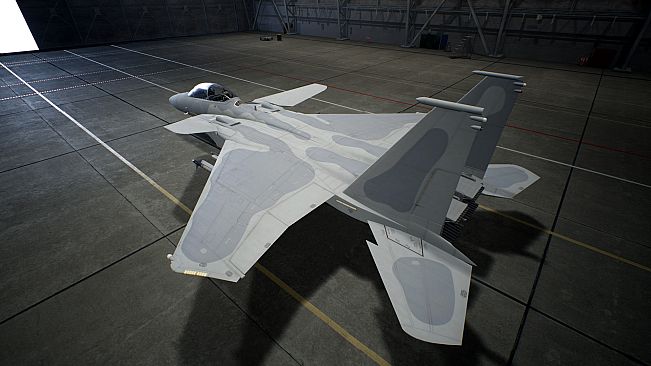 ACE COMBAT7: SKIES UNKNOWN - F-15 S/MTD Set