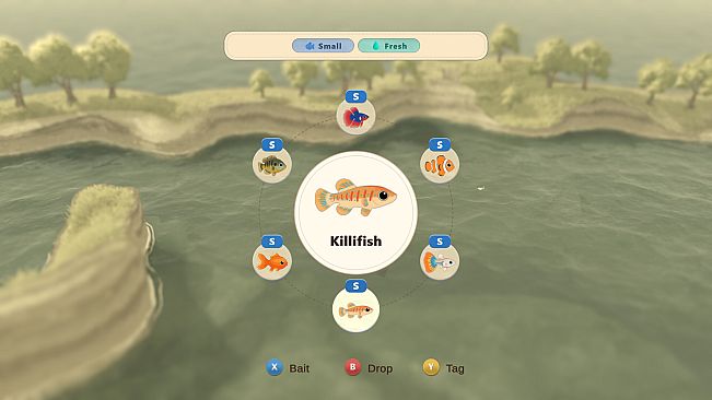 Paddle Cats