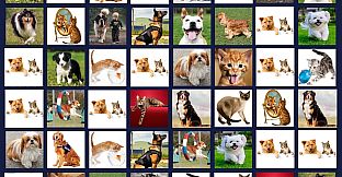 Memory Lost-Pairs - Animals