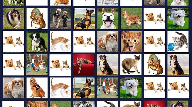 Memory Lost-Pairs - Animals