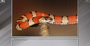 Super Jigsaw Puzzle: Generations - Snakes Puzzles